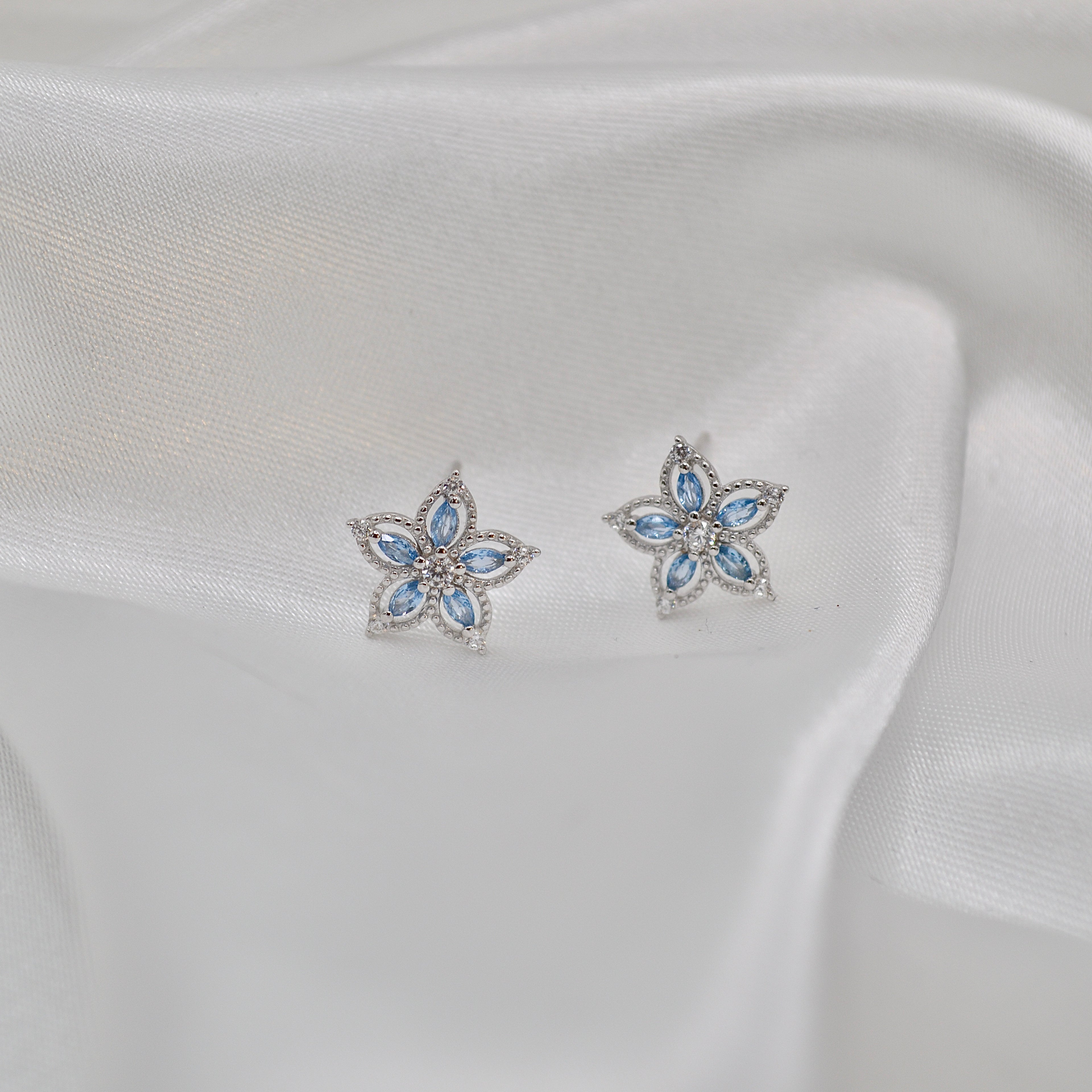 Boucles d'oreilles (Réf 149)