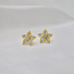 Boucles d'oreilles L'Eblouissante