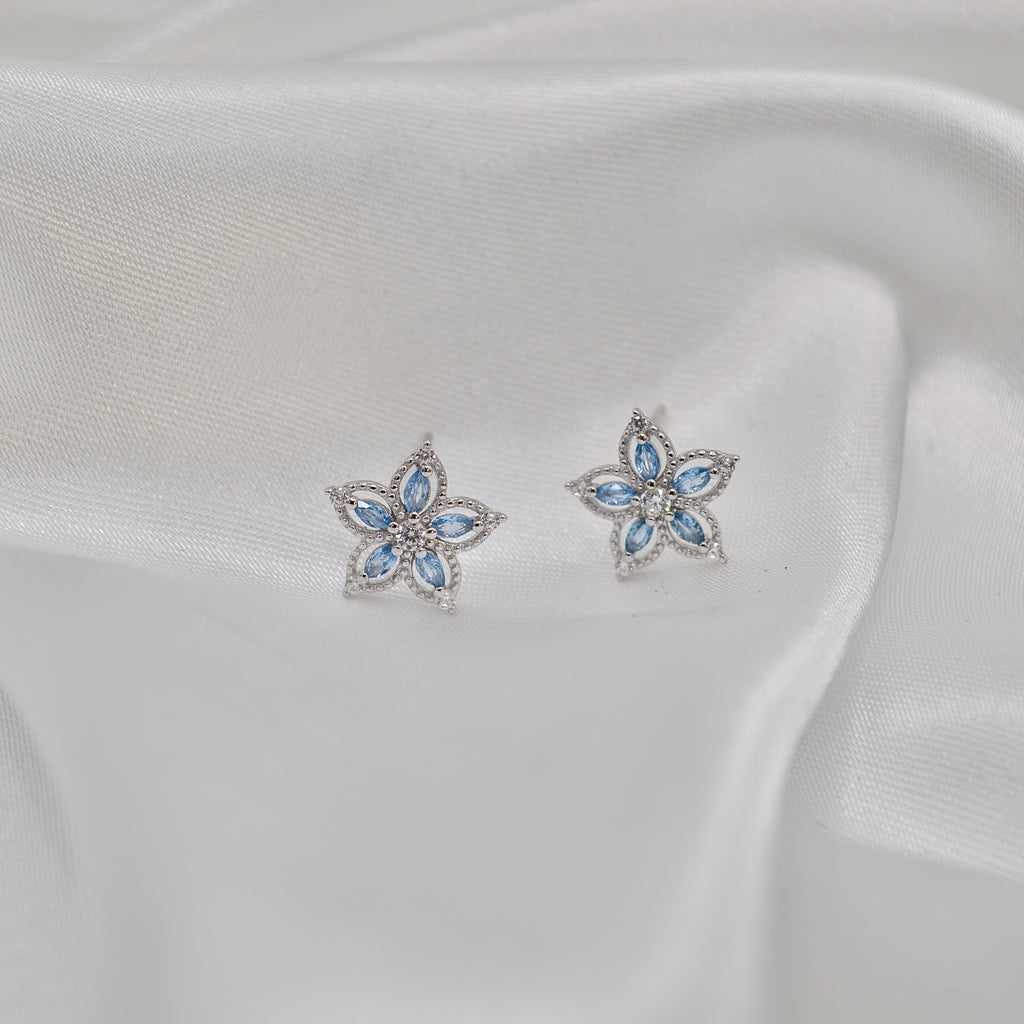 Boucles d'oreilles (Réf 149)