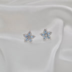 Boucles d'oreilles L'Eblouissante